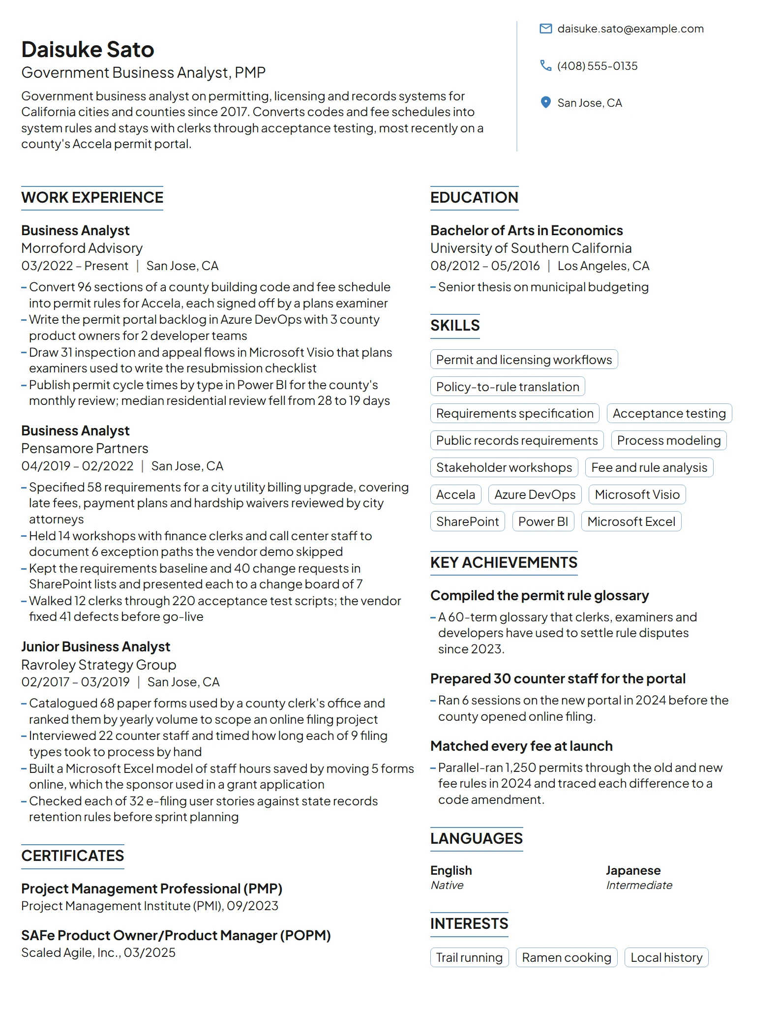 Government Business Analyst resume example