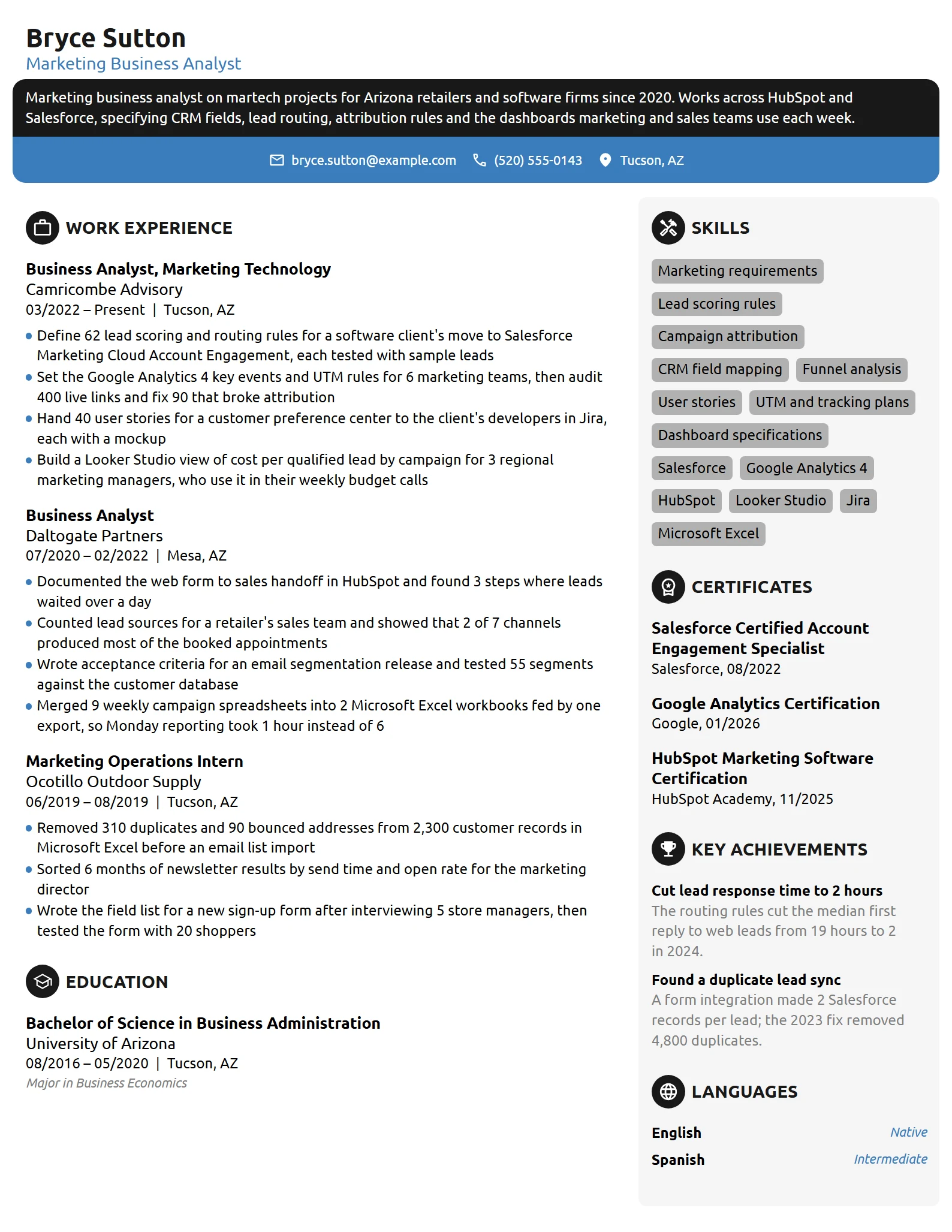 Marketing Business Analyst resume example
