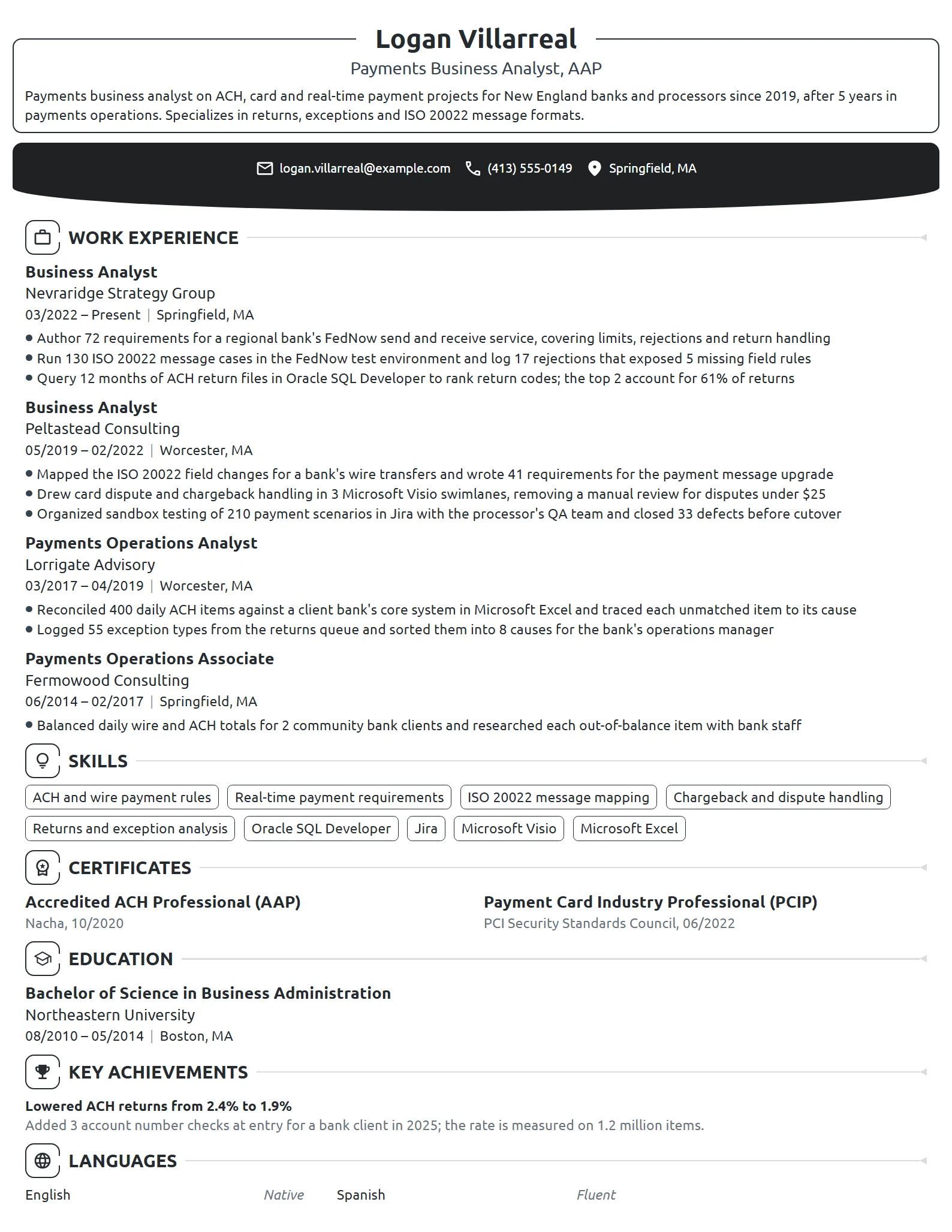 Payments Business Analyst resume example