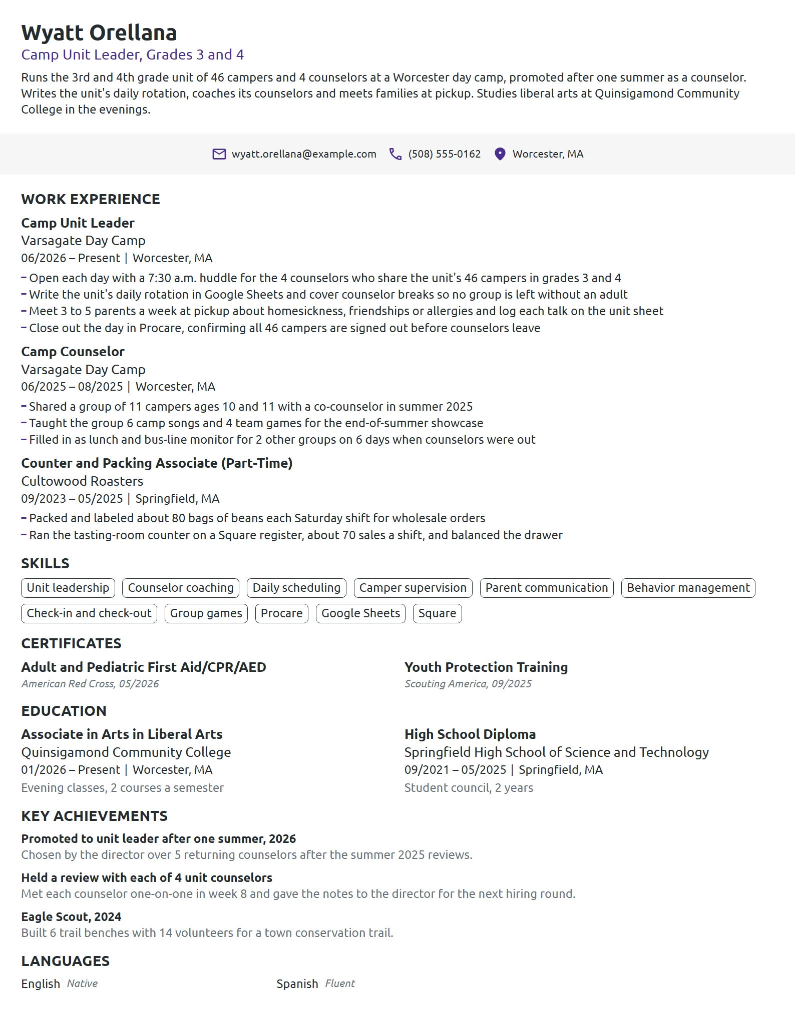 Camp Unit Leader resume example