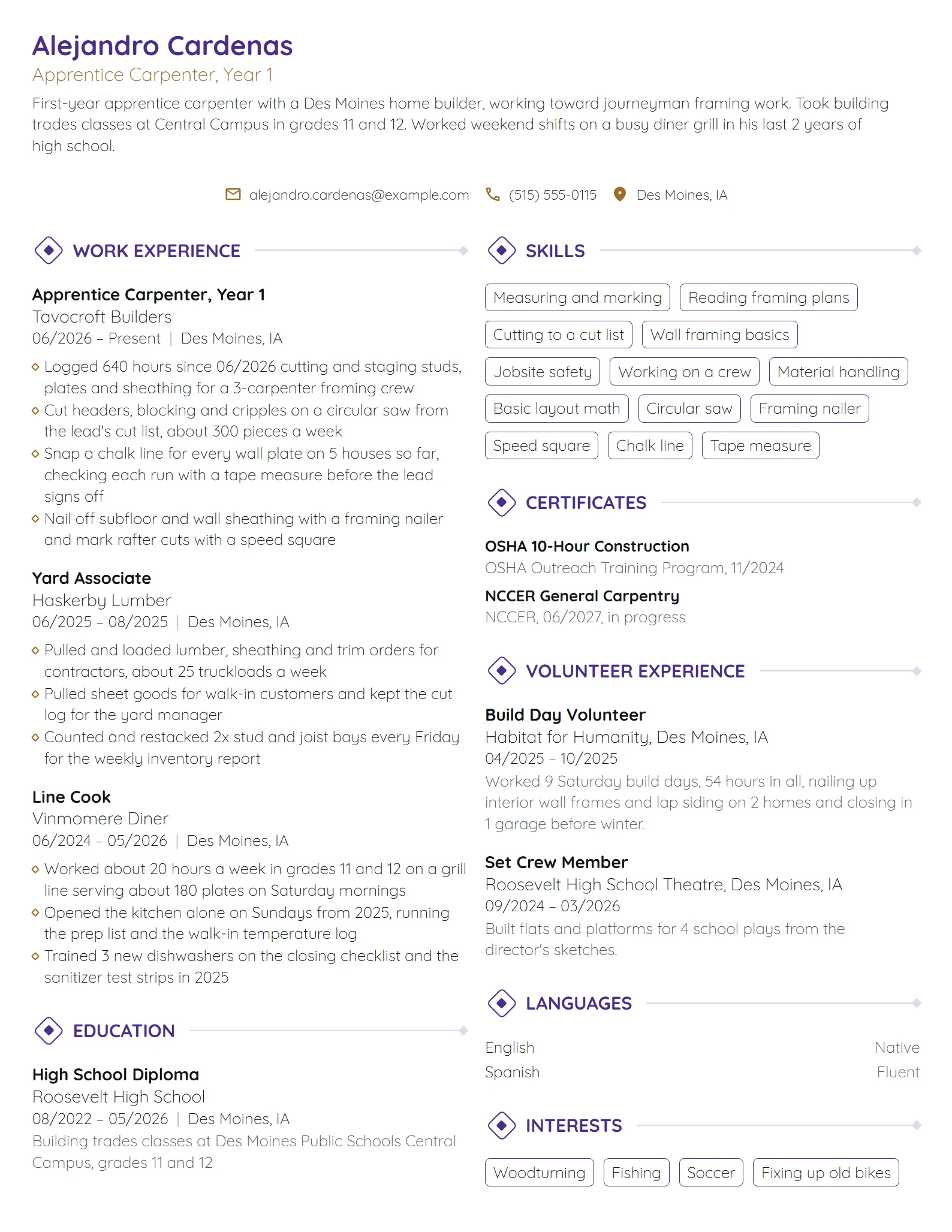Apprentice Carpenter resume example
