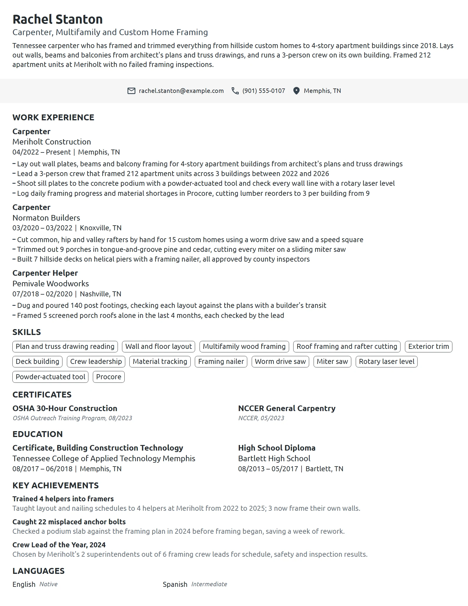 Carpenter resume example