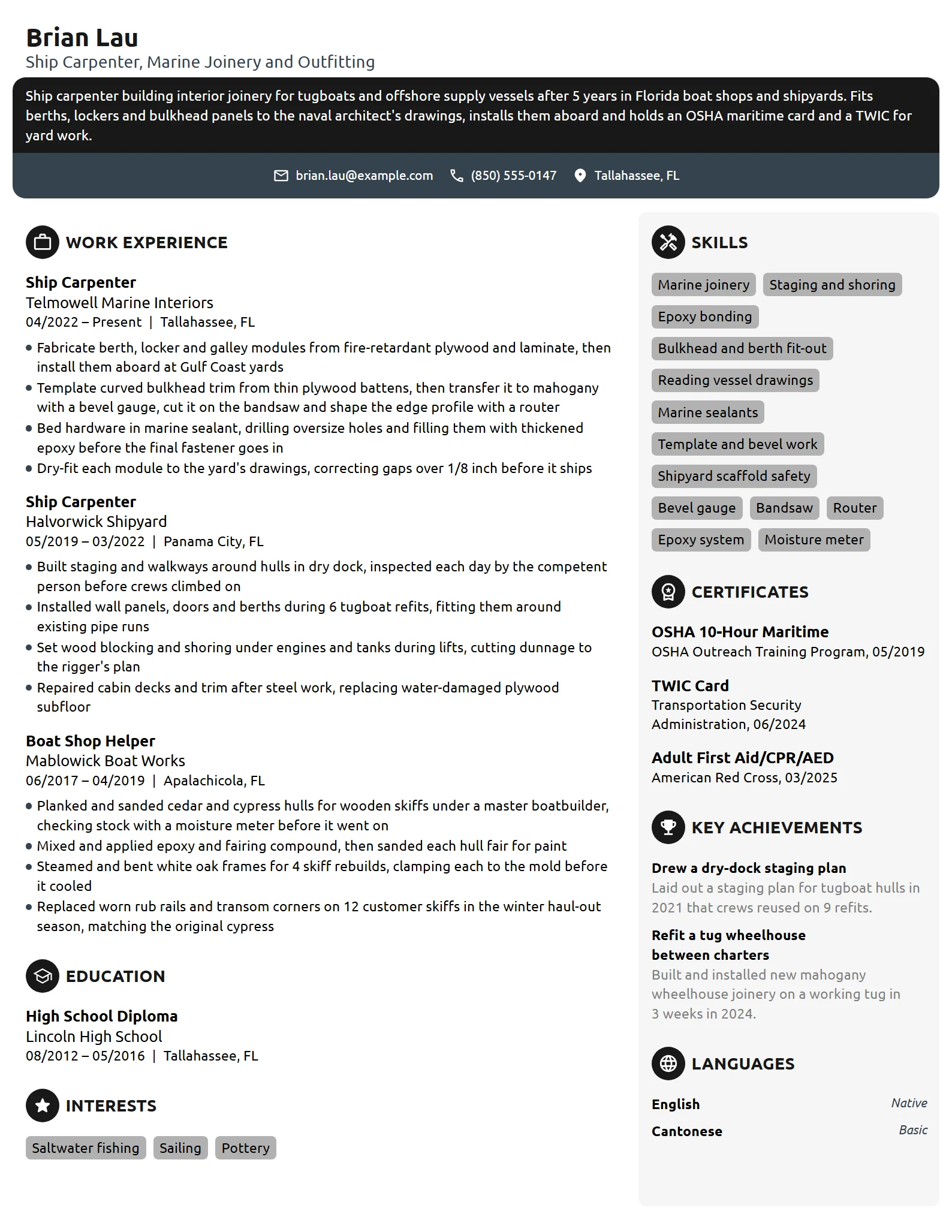 Ship Carpenter resume example