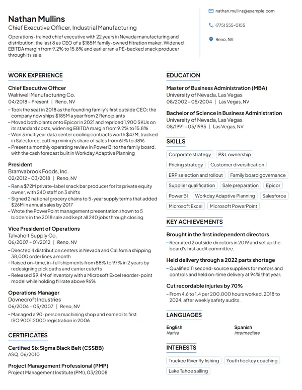 CEO resume example
