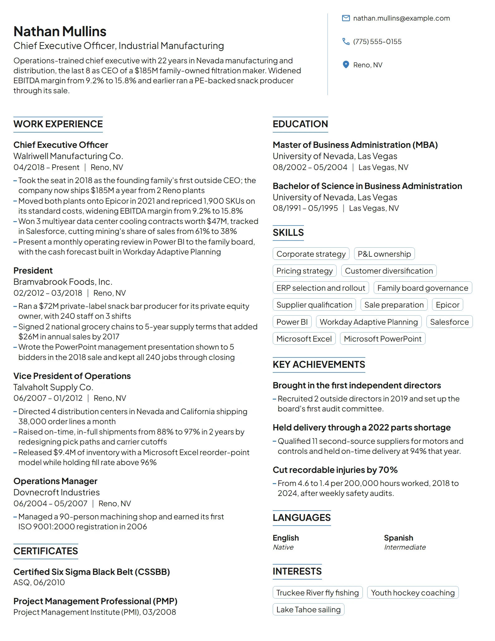 CEO resume example