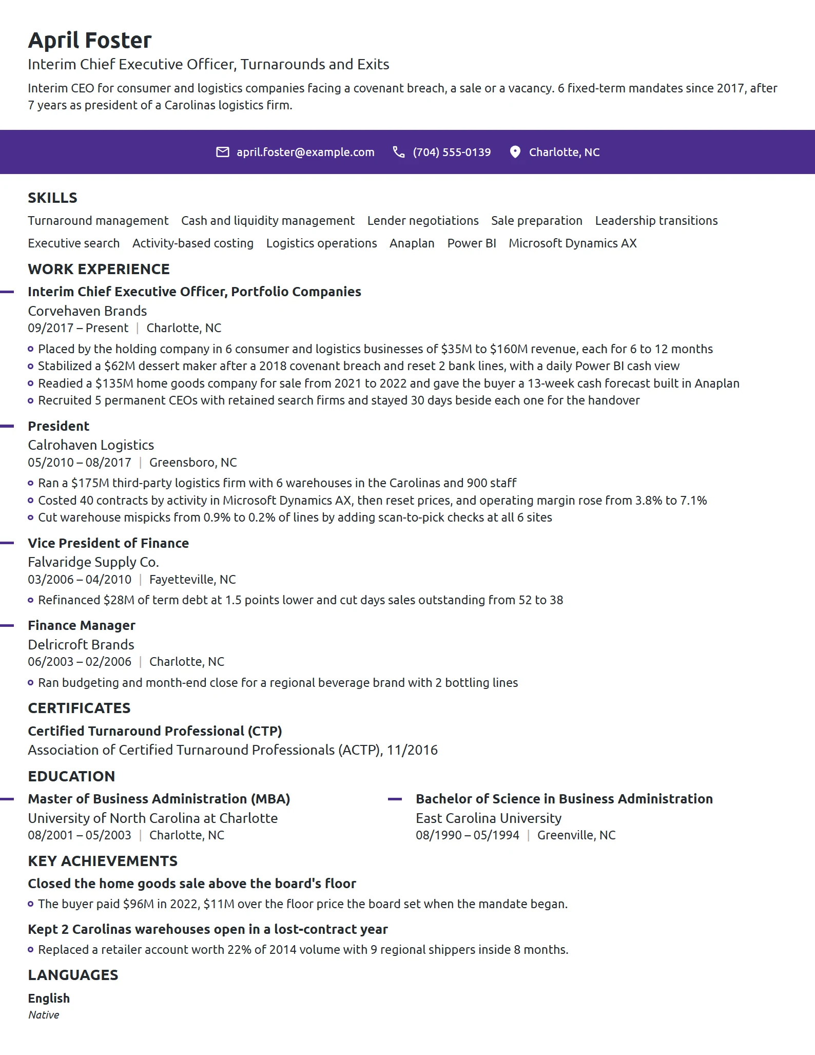 Interim CEO resume example