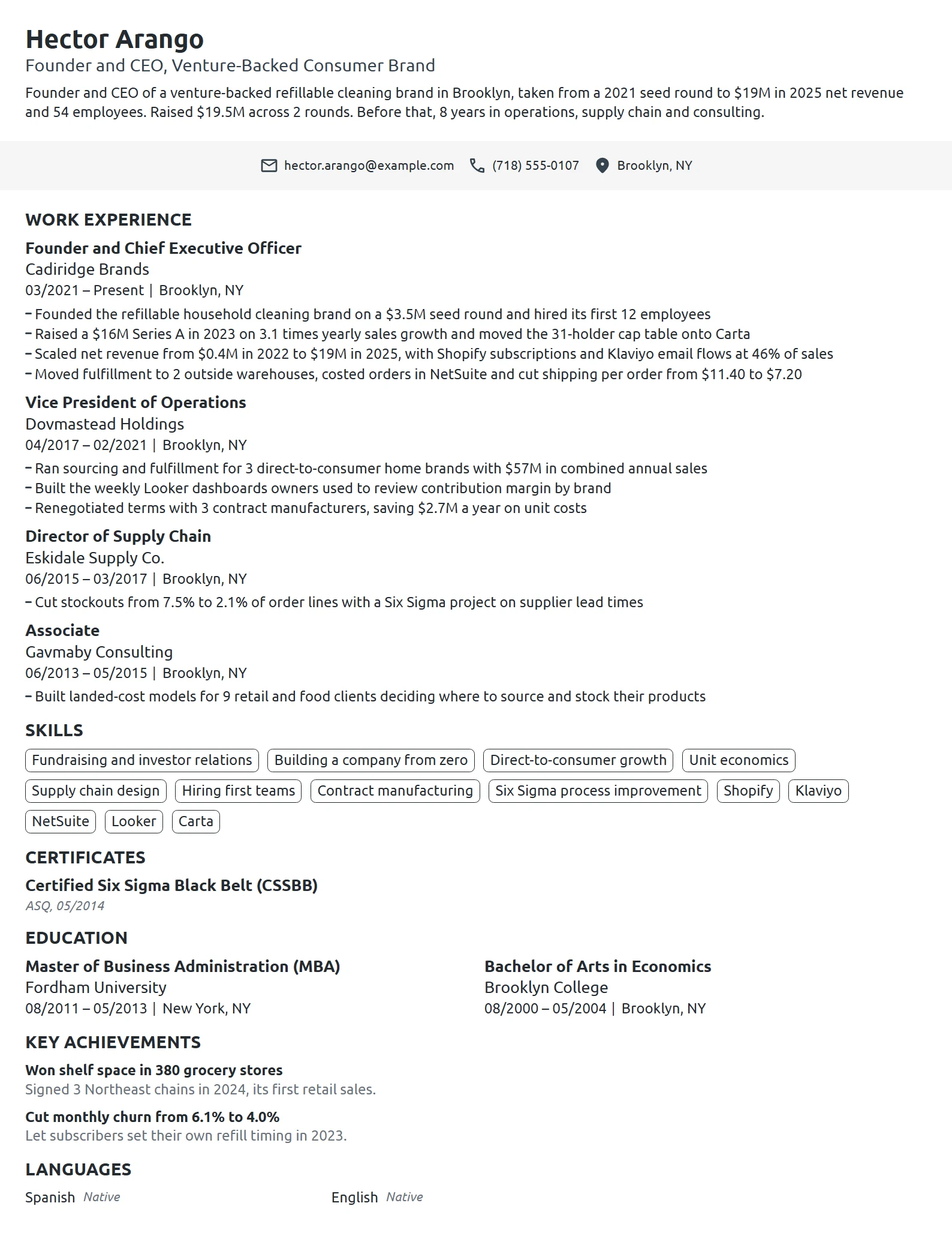Startup CEO resume example