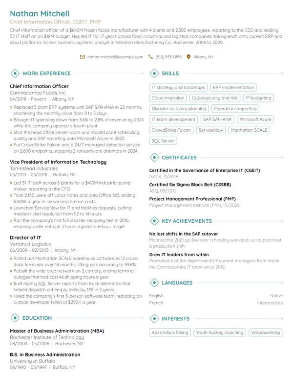 Chief Information Officer (CIO) resume example