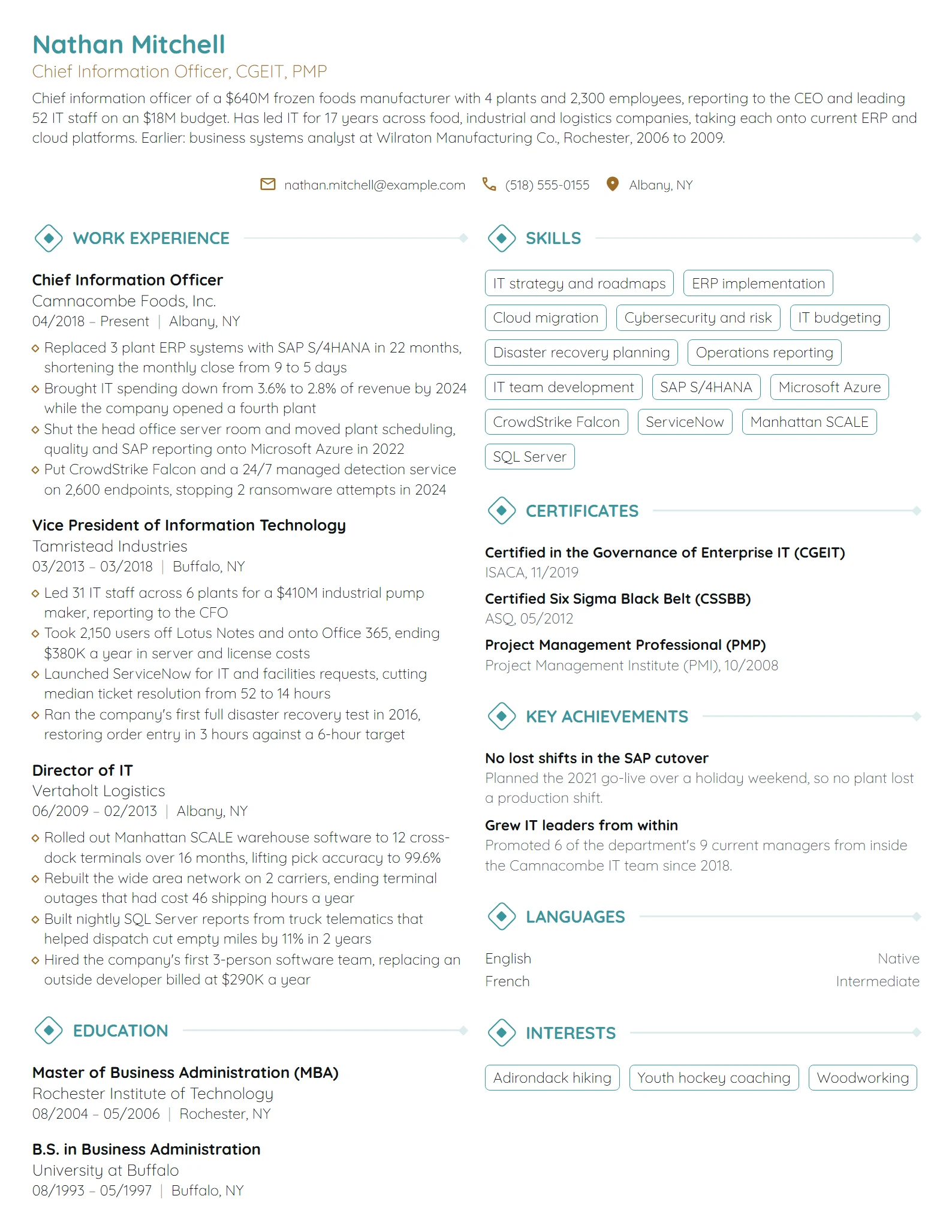 Chief Information Officer (CIO) resume example
