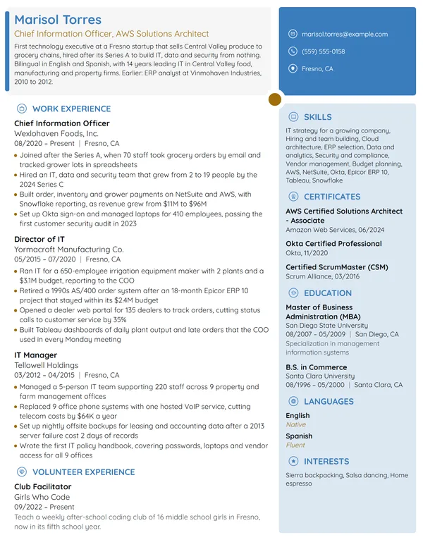 Startup Chief Information Officer (CIO) resume example
