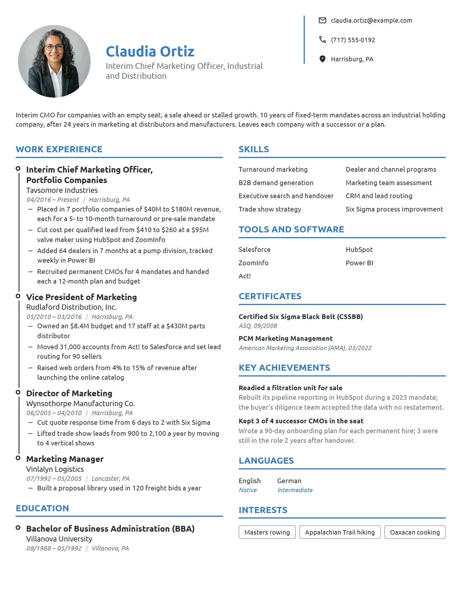 Interim Chief Marketing Officer resume example