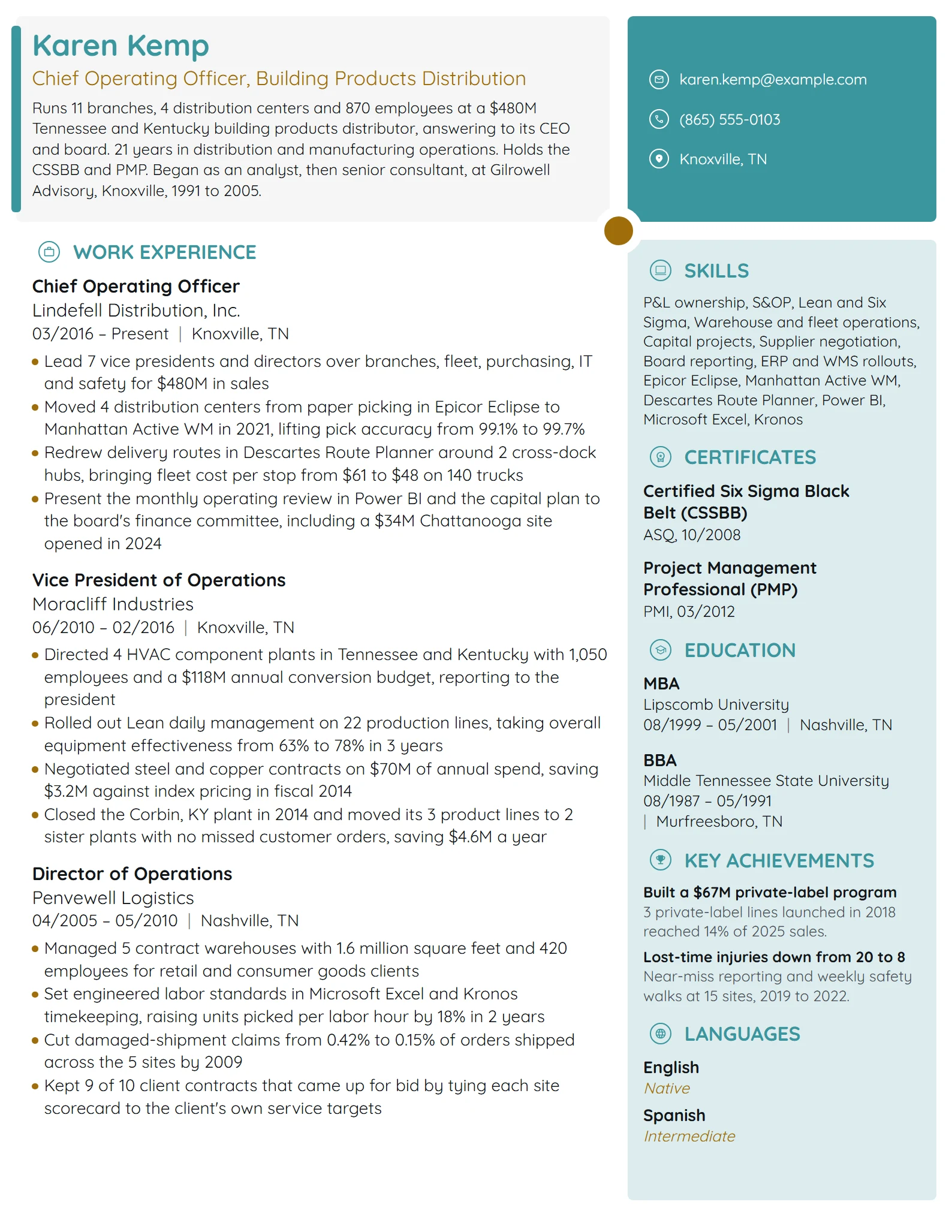 Chief Operating Officer (COO) resume example