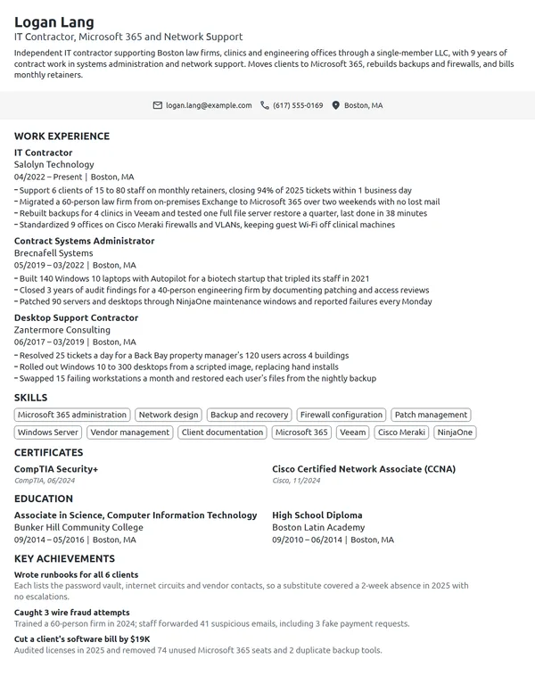 IT Contractor resume example