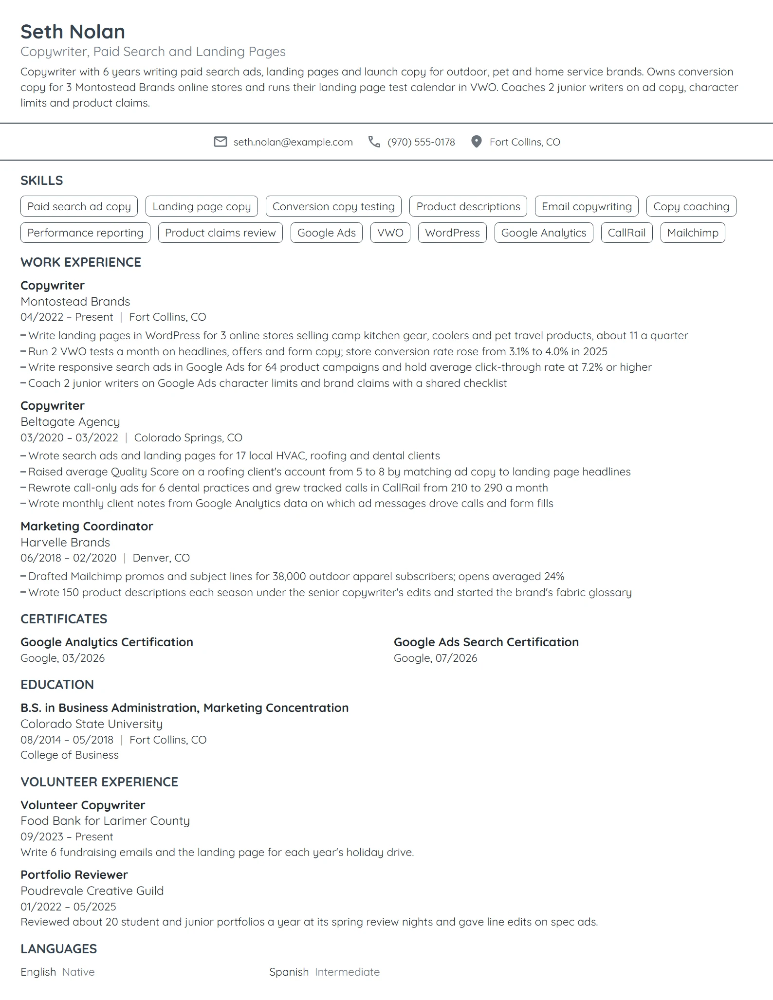 Mid-Level Copywriter resume example