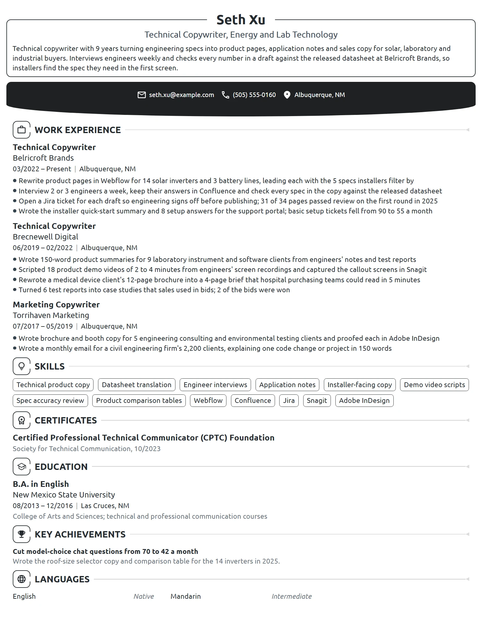 Technical Copywriter resume example