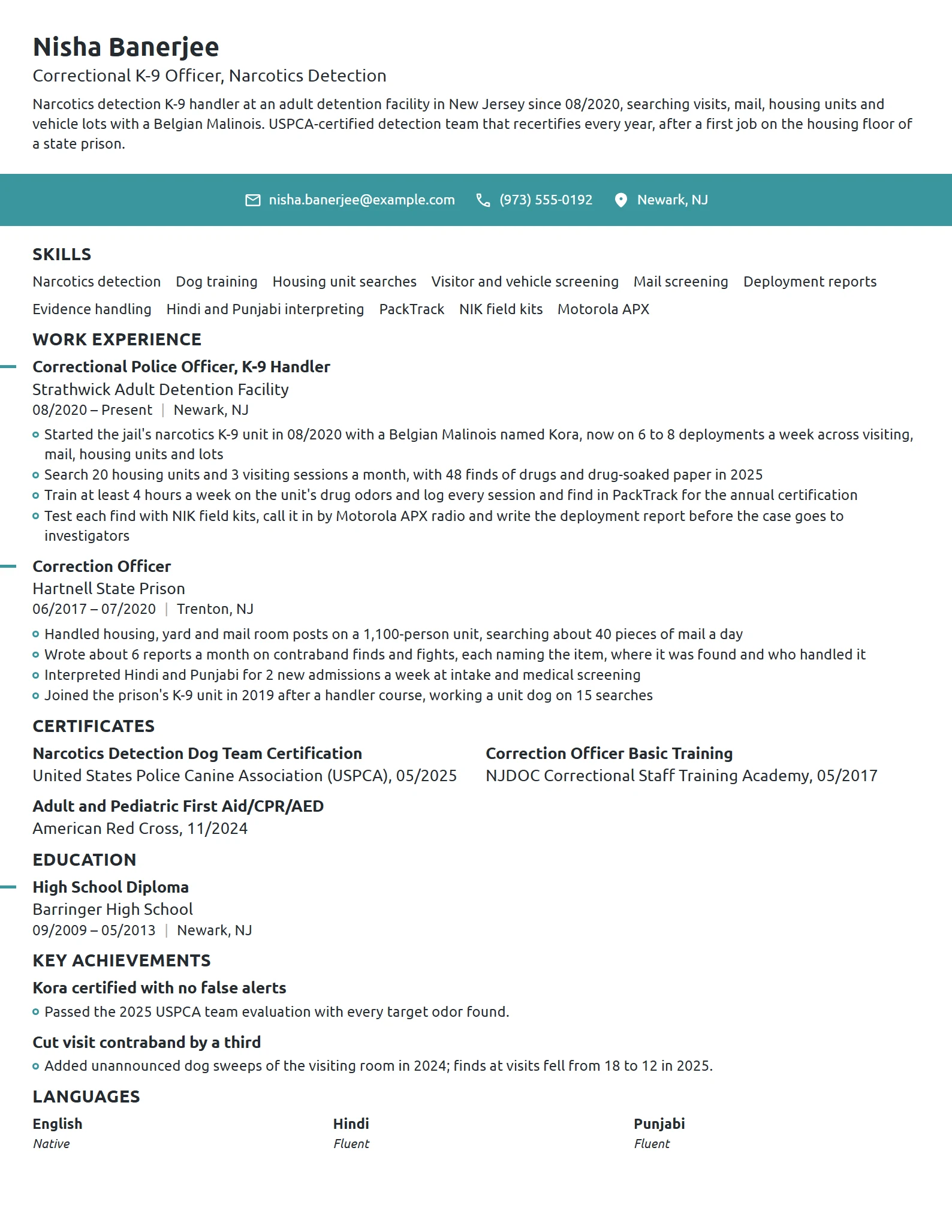Correctional K-9 Officer resume example