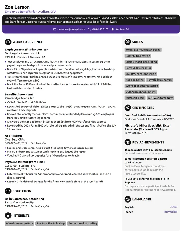 Employee Benefit Plan Auditor resume example