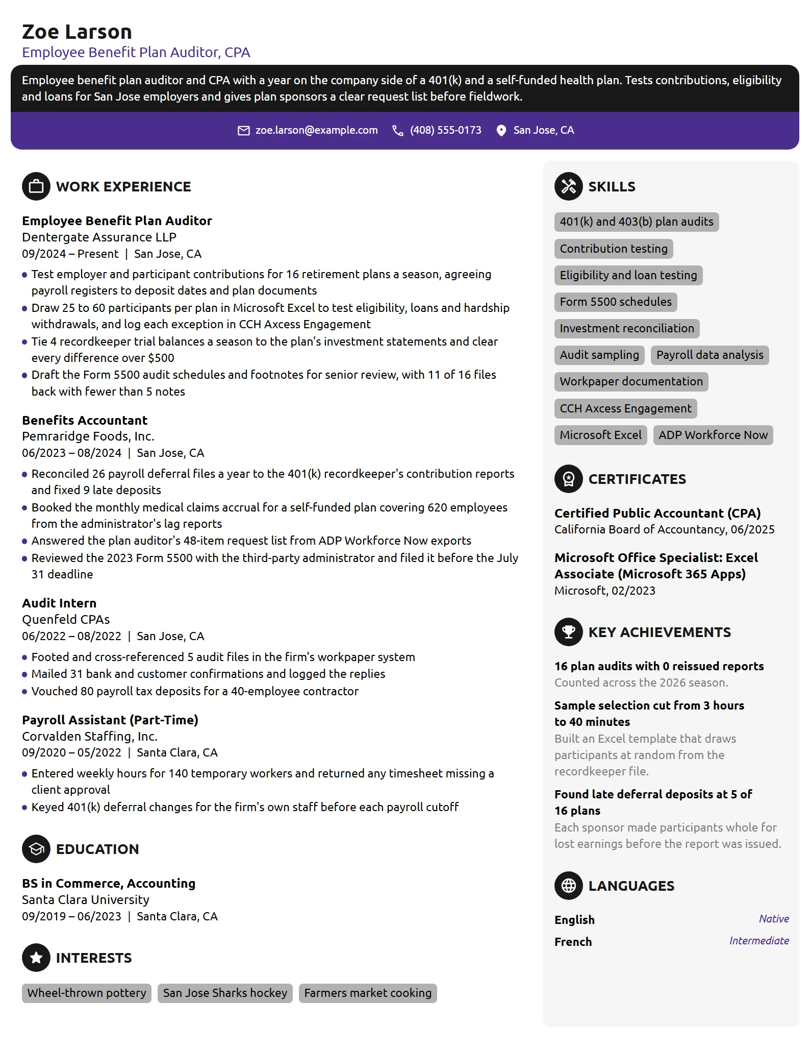 Employee Benefit Plan Auditor resume example