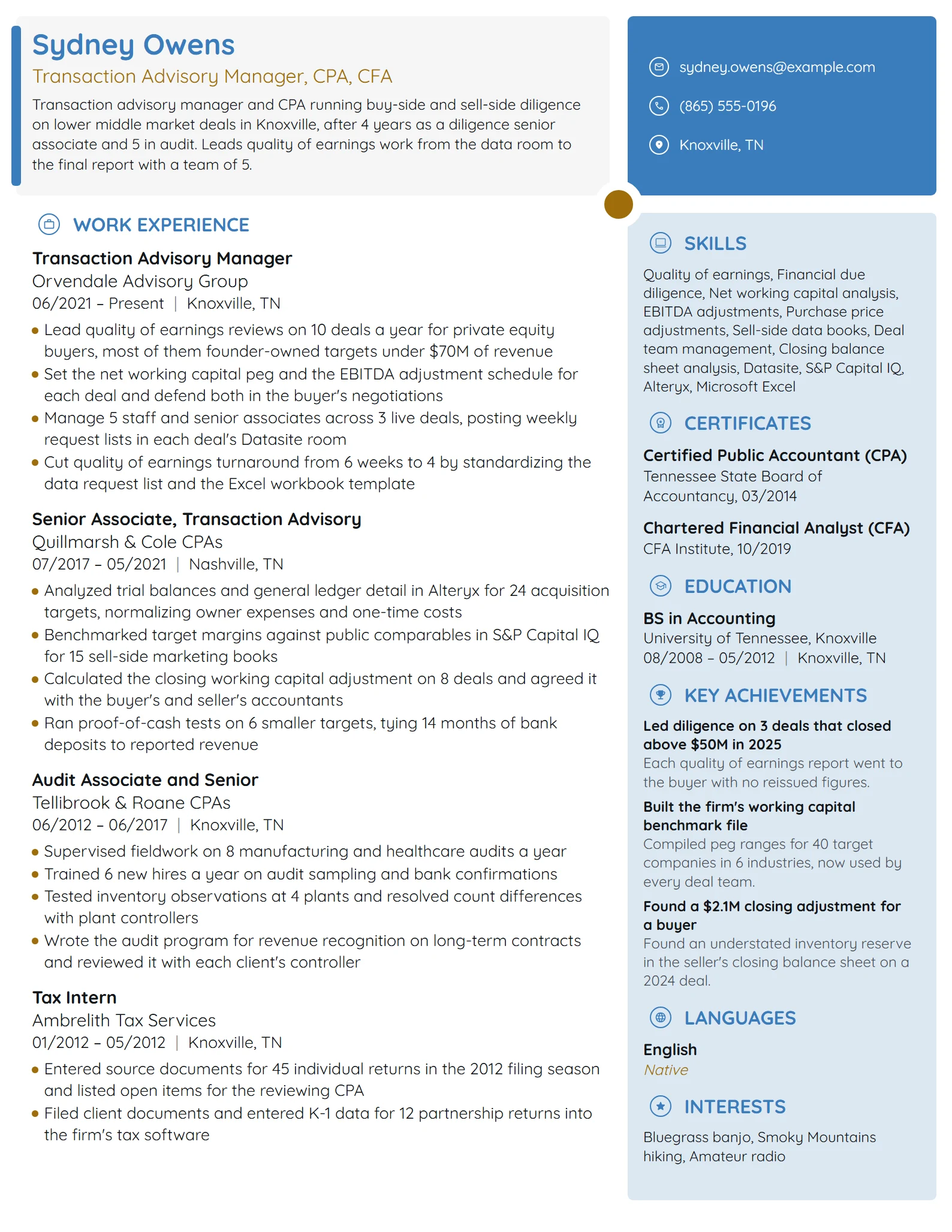 Transaction Advisory Manager resume example