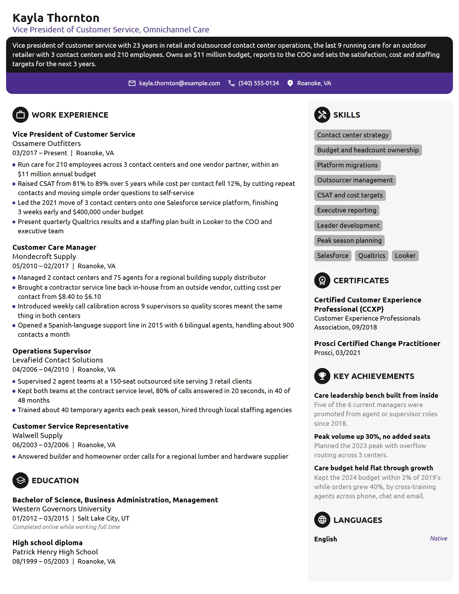 Vice President of Customer Service resume example