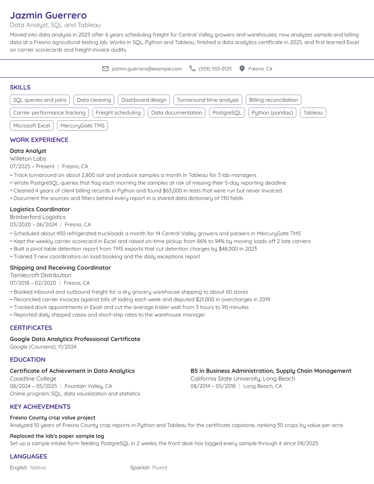 Career Change Data Analyst resume example