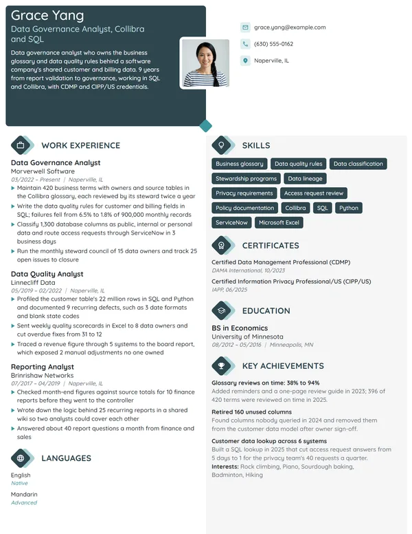 Data Governance Analyst resume example