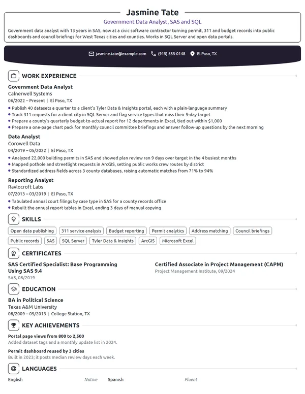 Government Data Analyst resume example