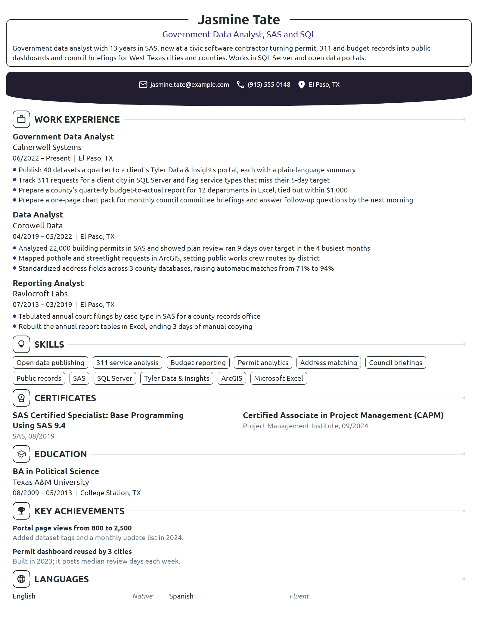 Government Data Analyst resume example