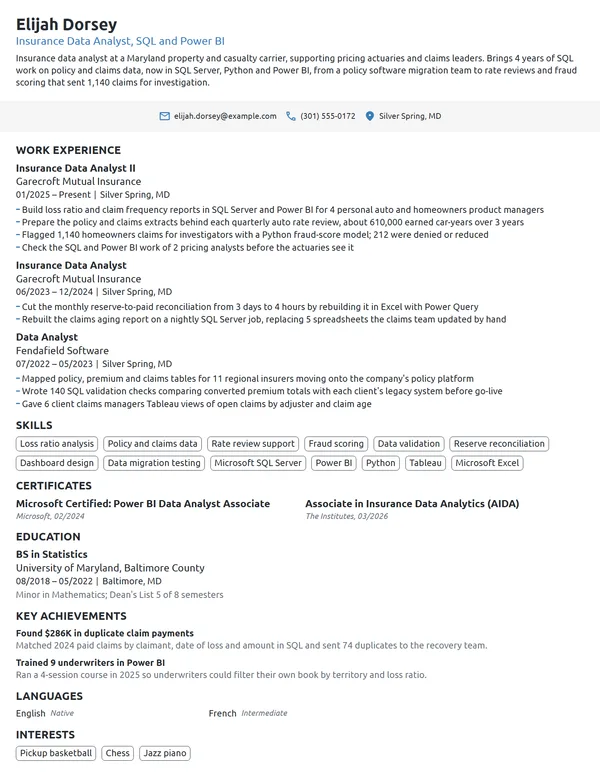 Insurance Data Analyst resume example