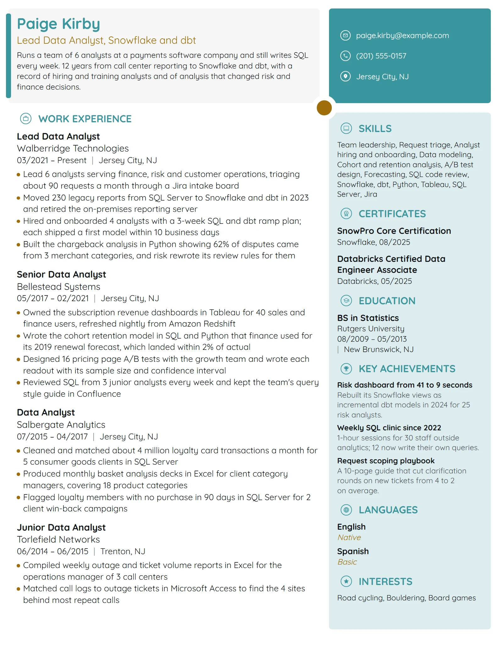Lead Data Analyst resume example