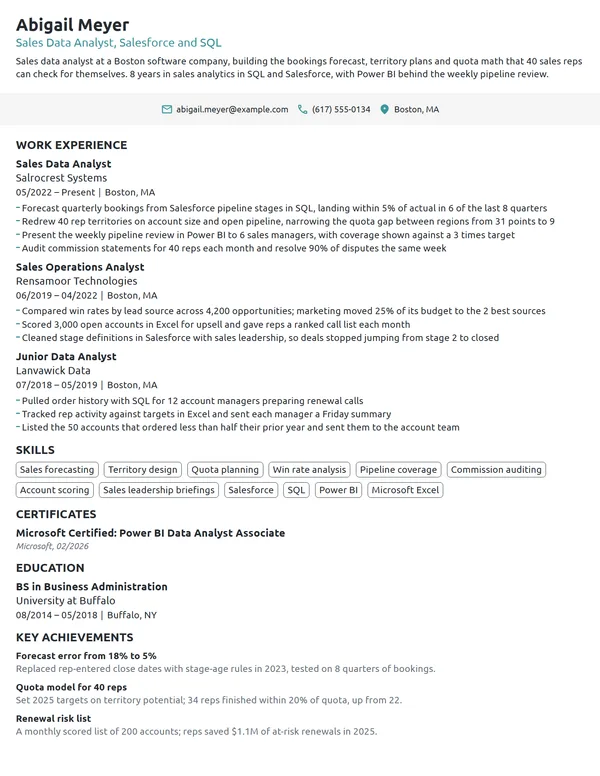 Sales Data Analyst resume example