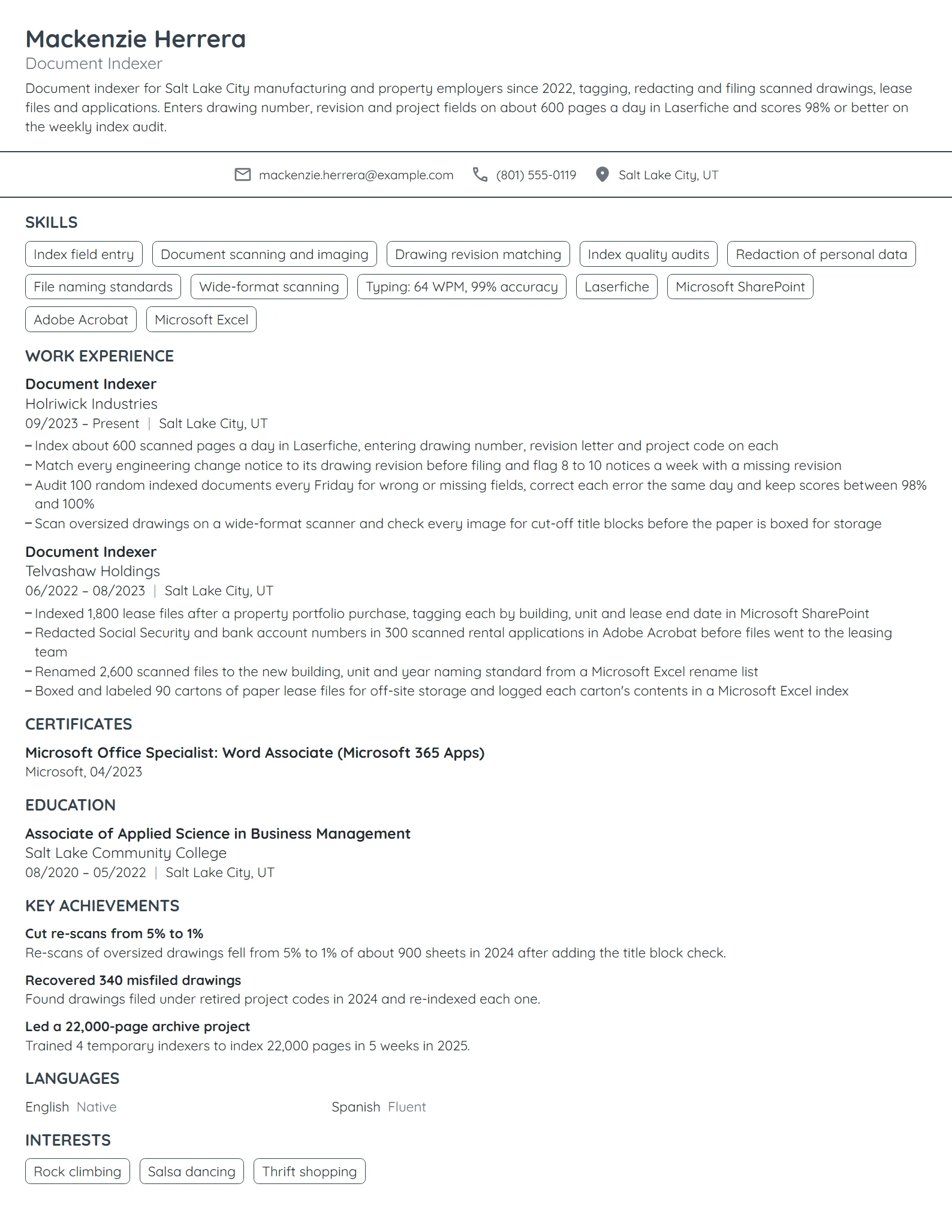 Document Indexer resume example