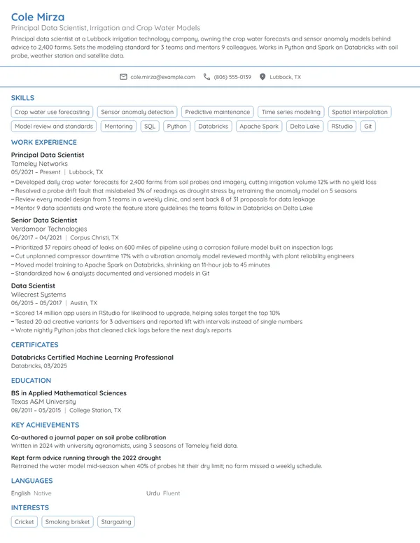Principal Data Scientist resume example