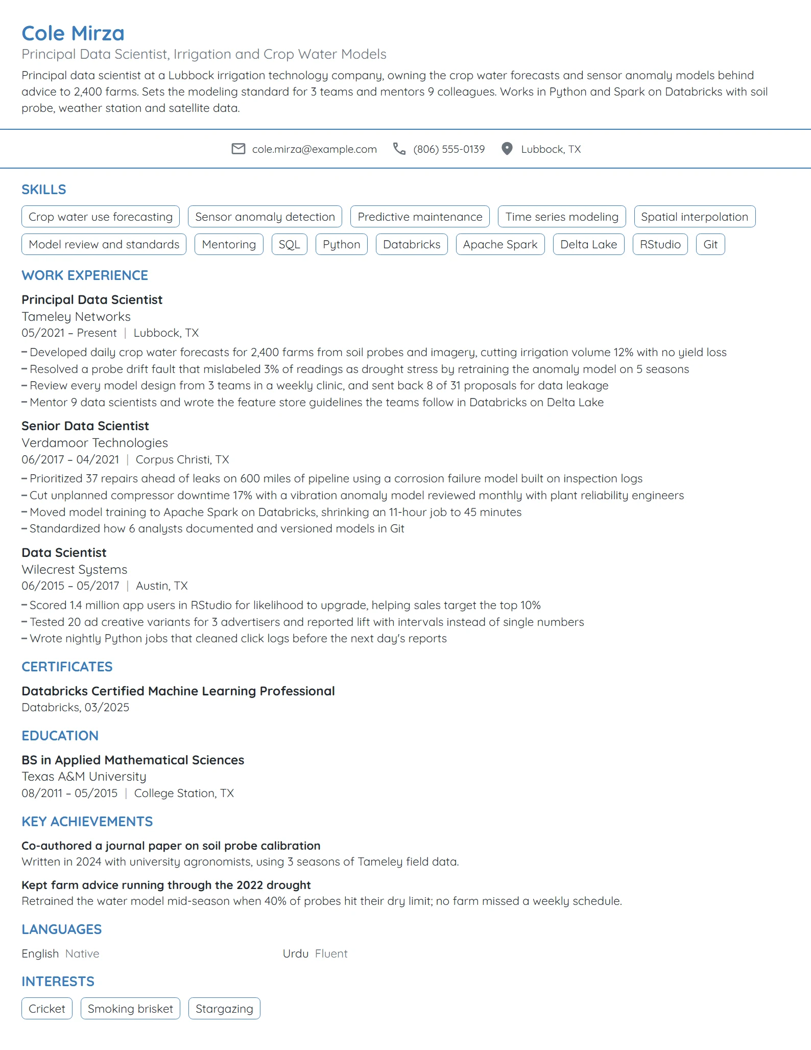 Principal Data Scientist resume example