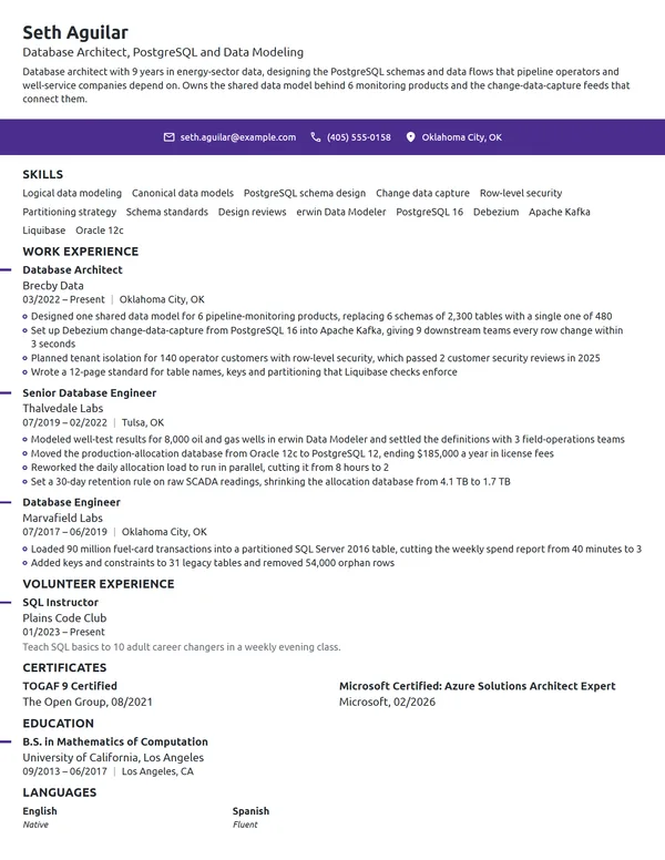 Database Architect resume example
