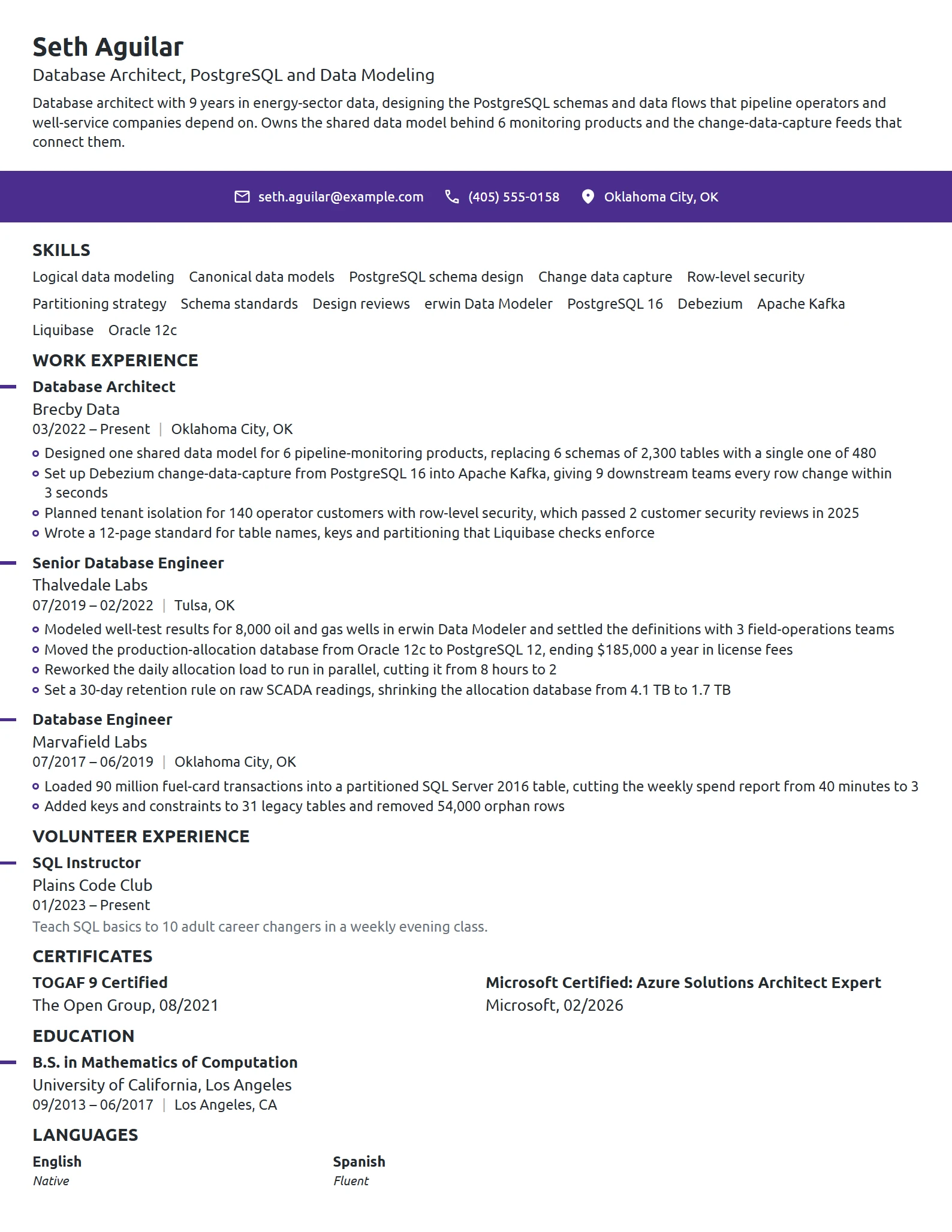 Database Architect resume example