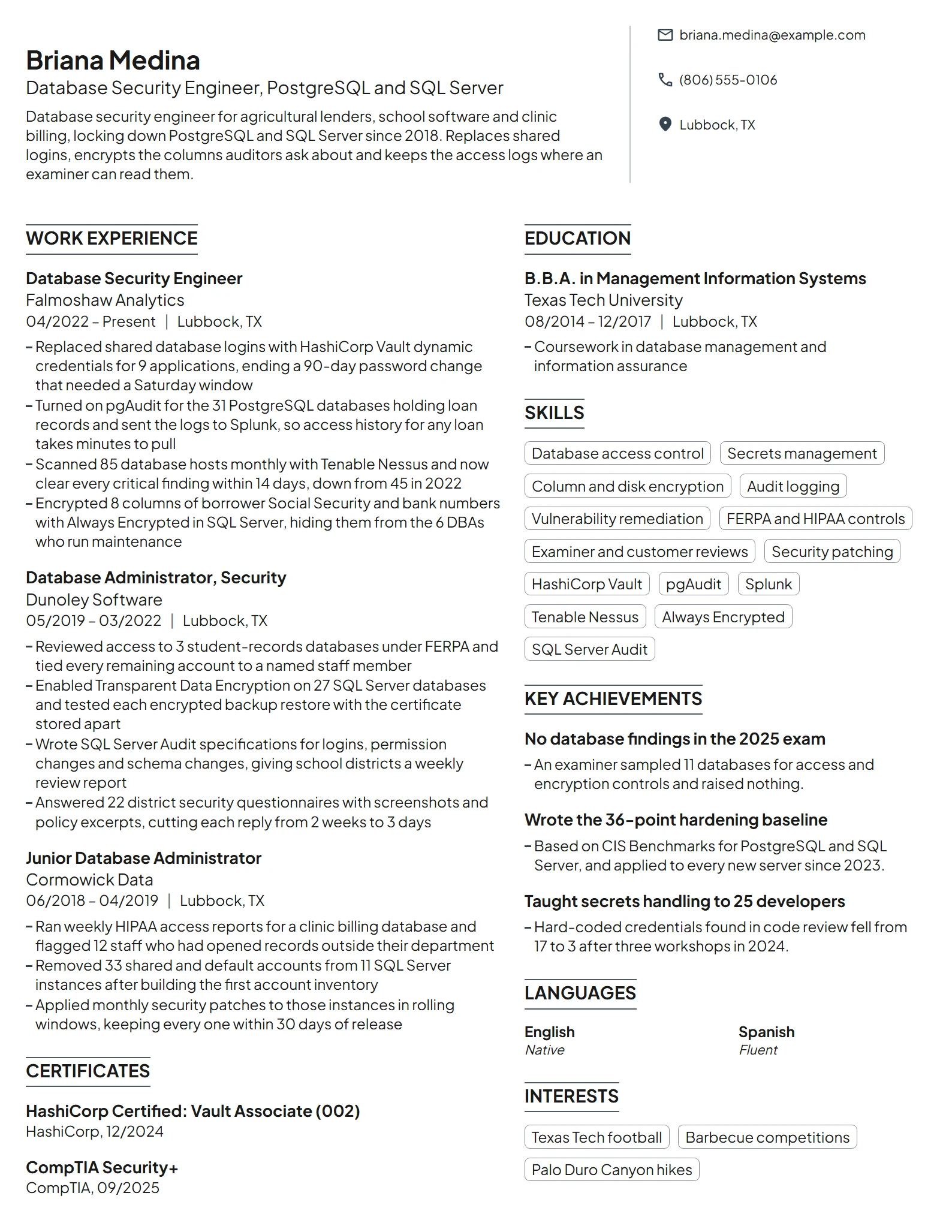 Database Security Engineer resume example