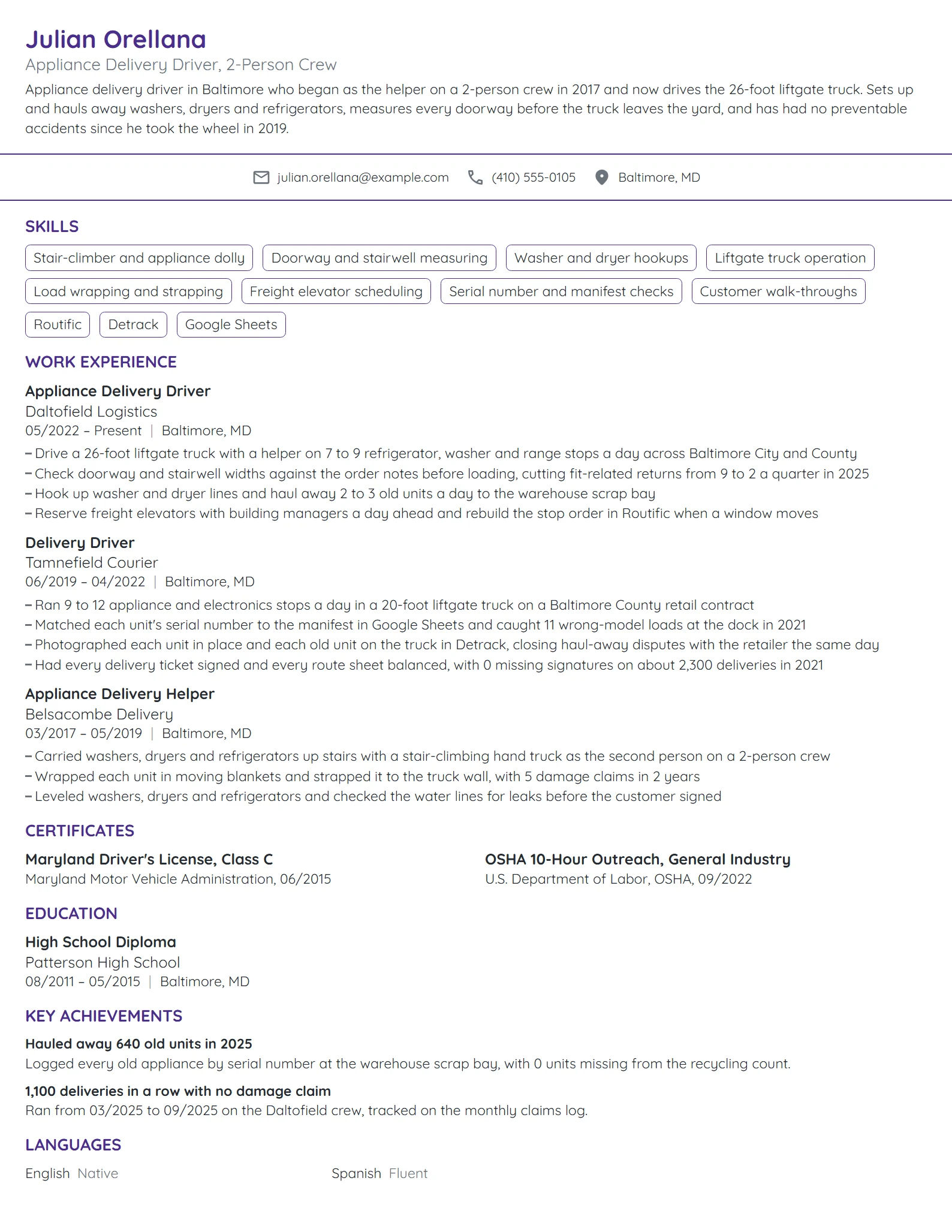 Appliance Delivery Driver resume example