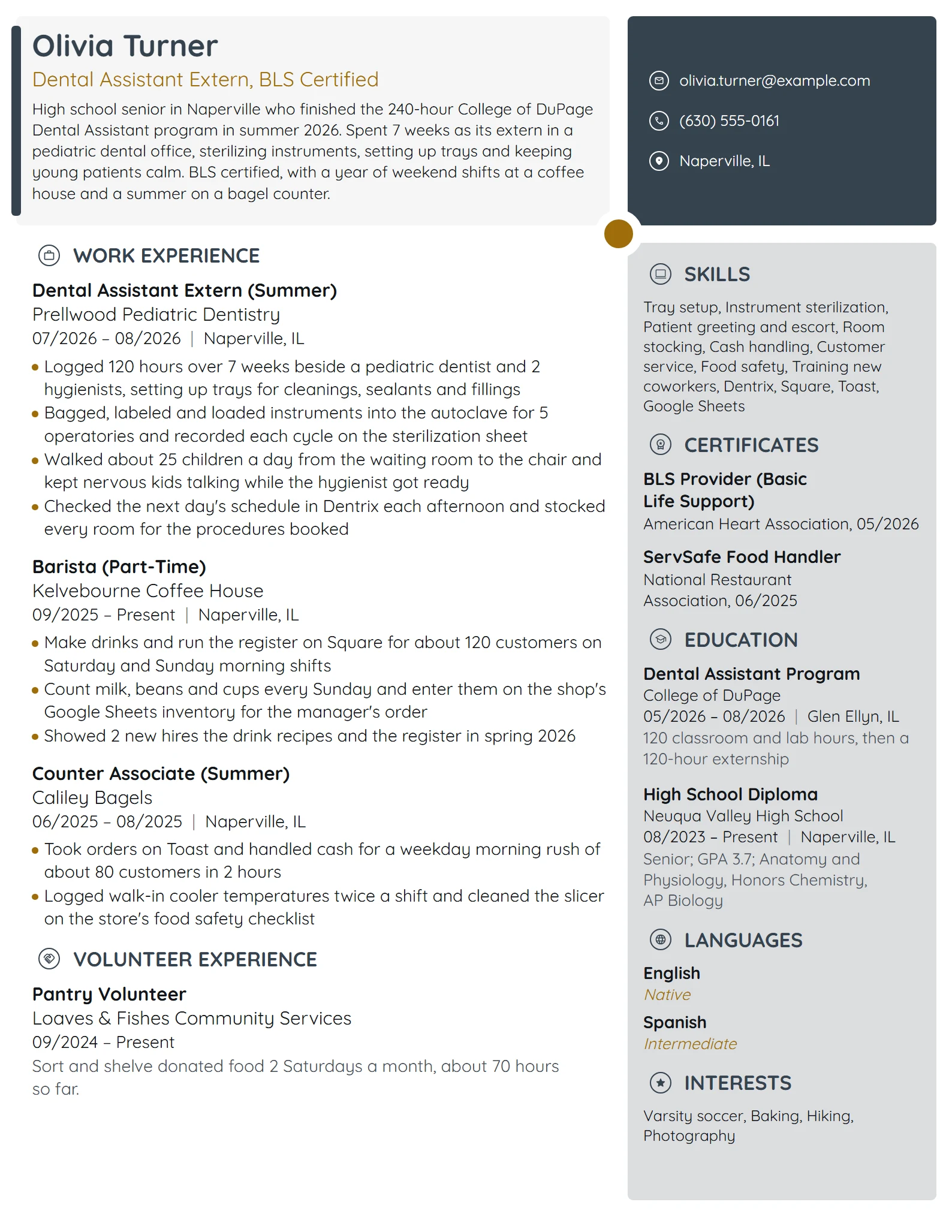 Dental Assistant Extern resume example