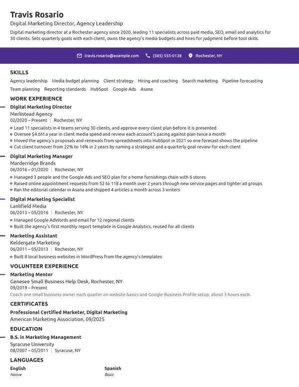 Digital Marketing Director resume example
