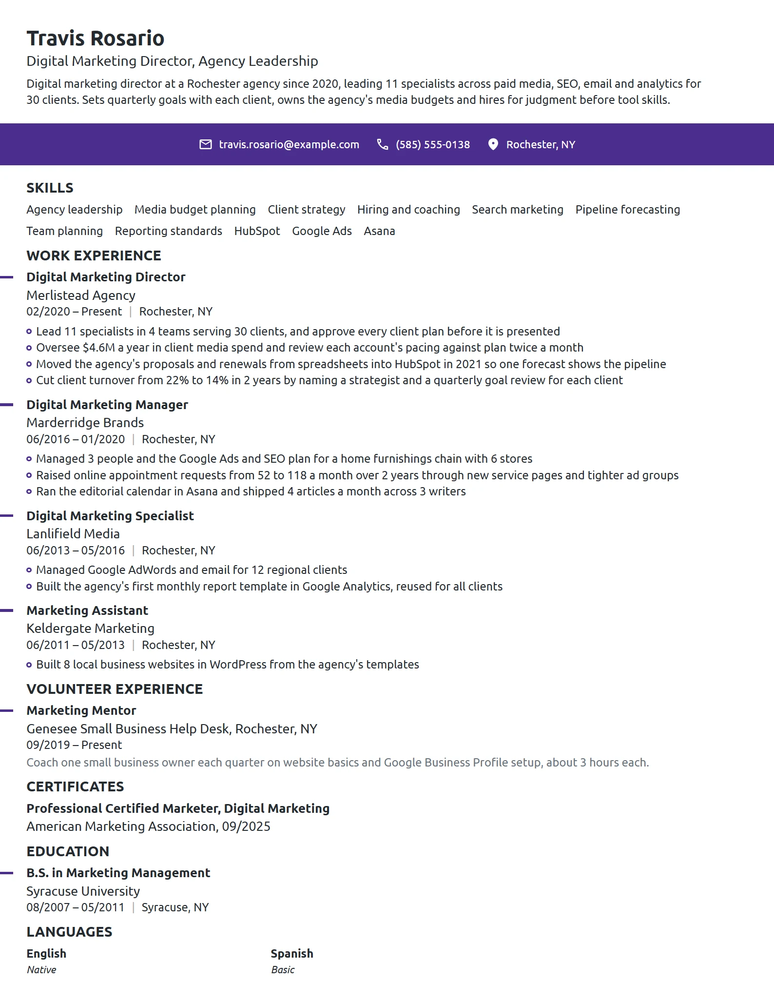 Digital Marketing Director resume example