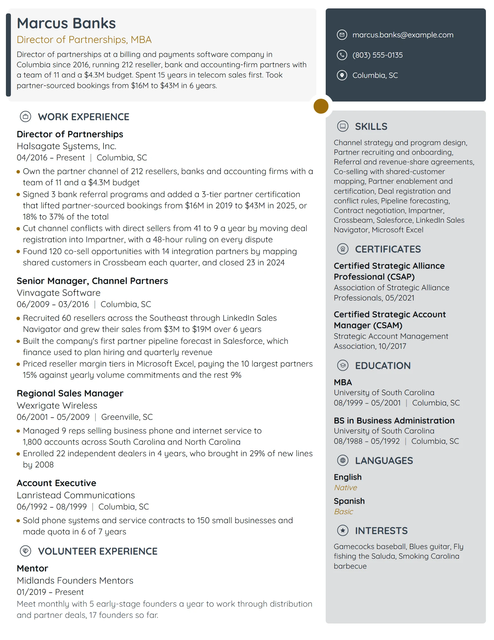 Director of Partnerships resume example