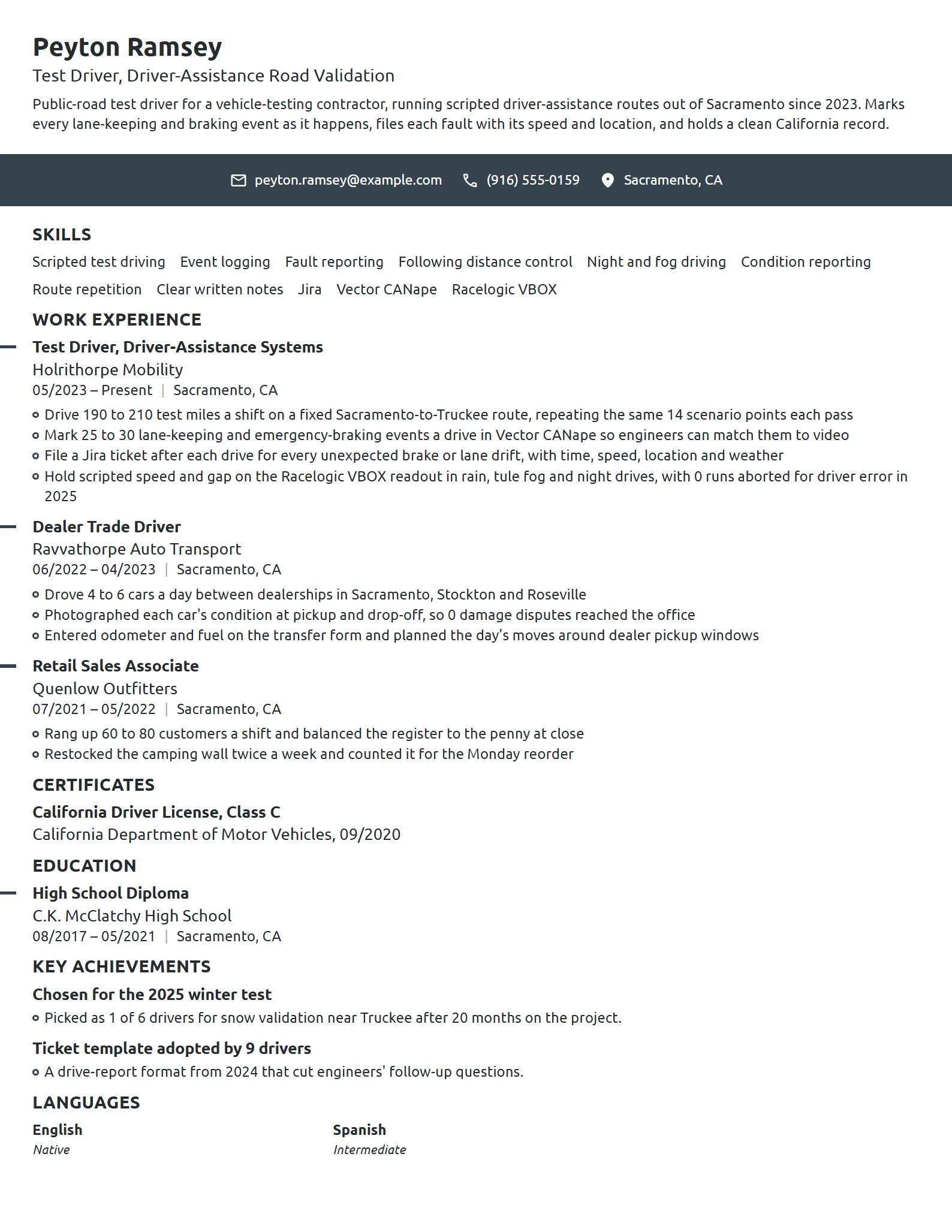 Test Driver resume example