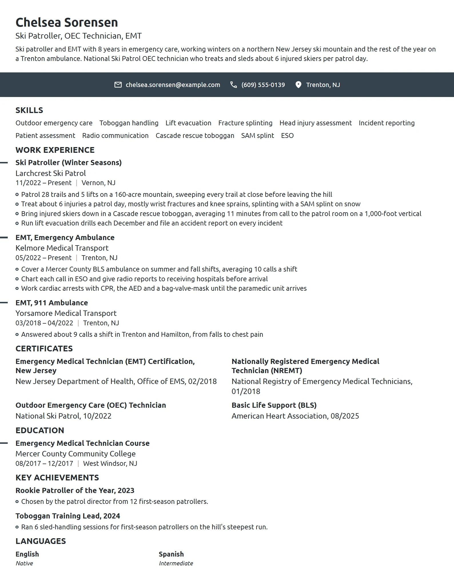 Ski Patroller resume example