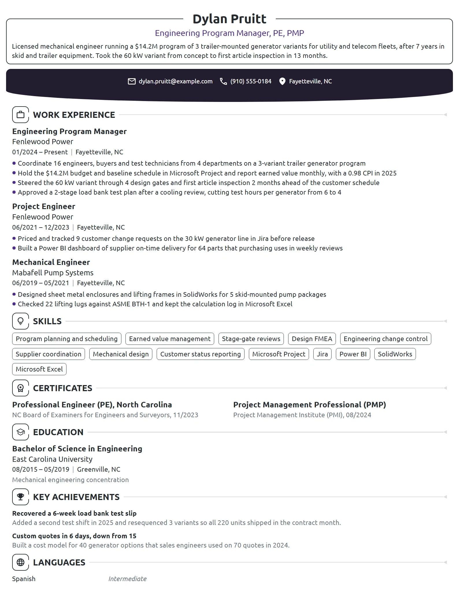 Engineering Program Manager resume example