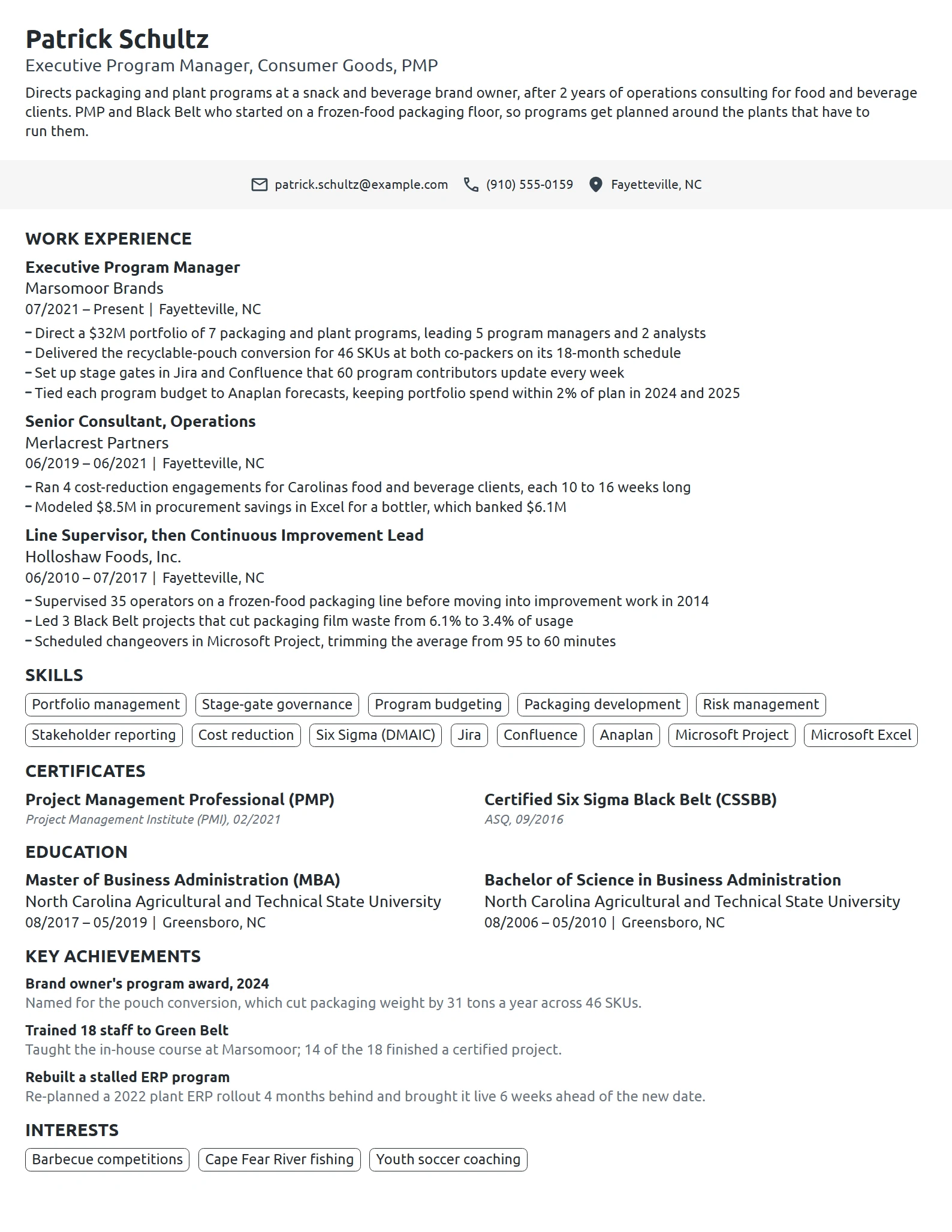 Executive Program Manager resume example