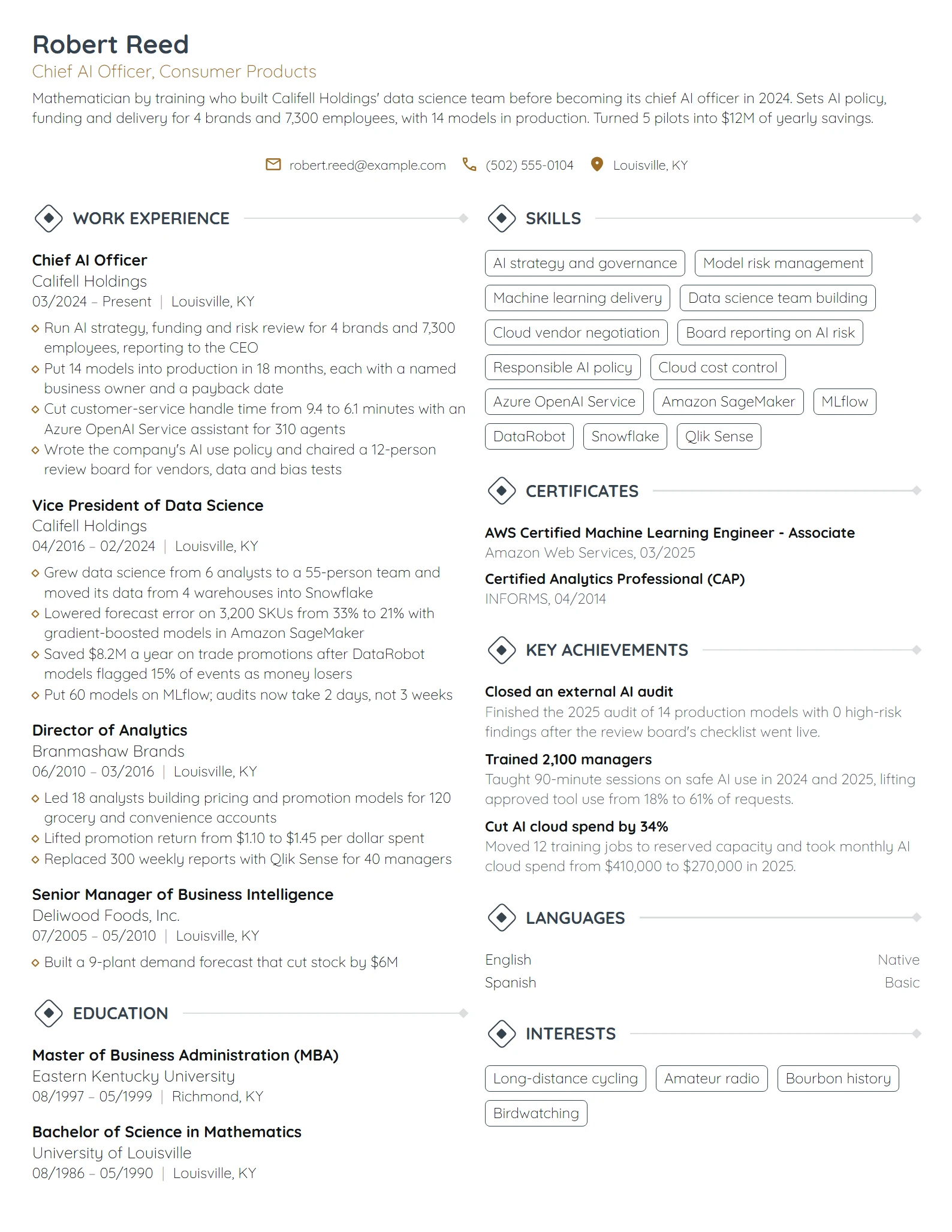 Chief AI Officer resume example