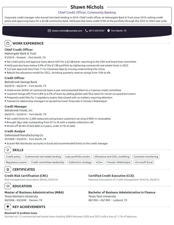 Chief Credit Officer resume example