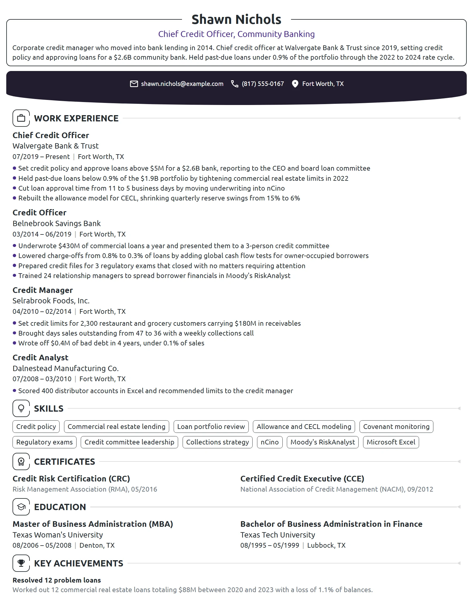 Chief Credit Officer resume example