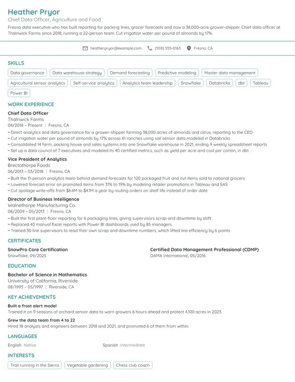 Chief Data Officer resume example